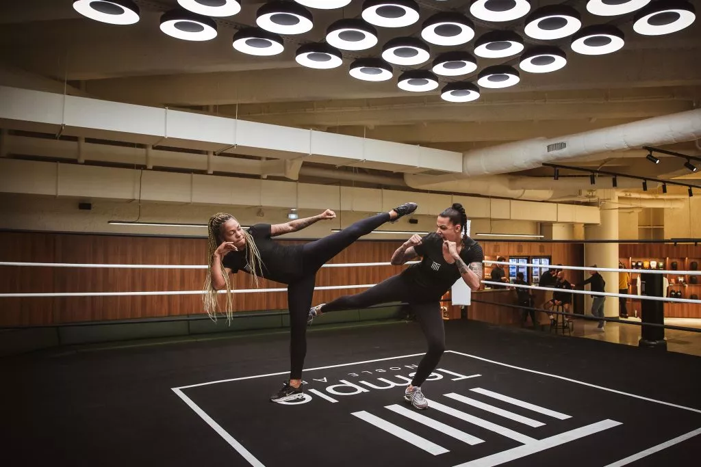 savate boxe française