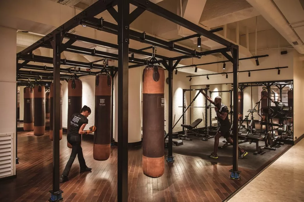 Boxe-paris-15-sport