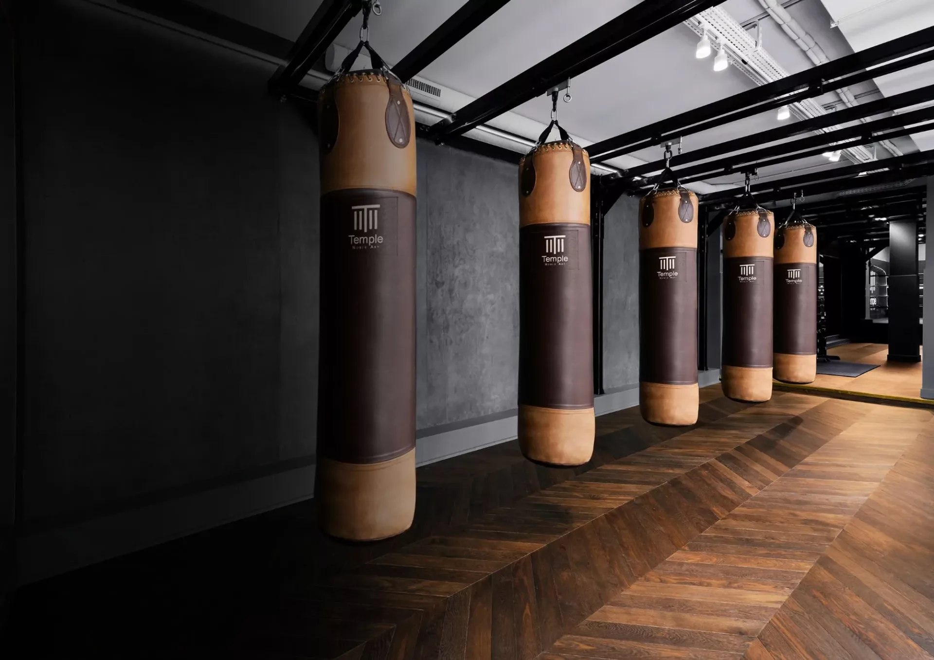 Club de boxe à Paris, Temple noble art