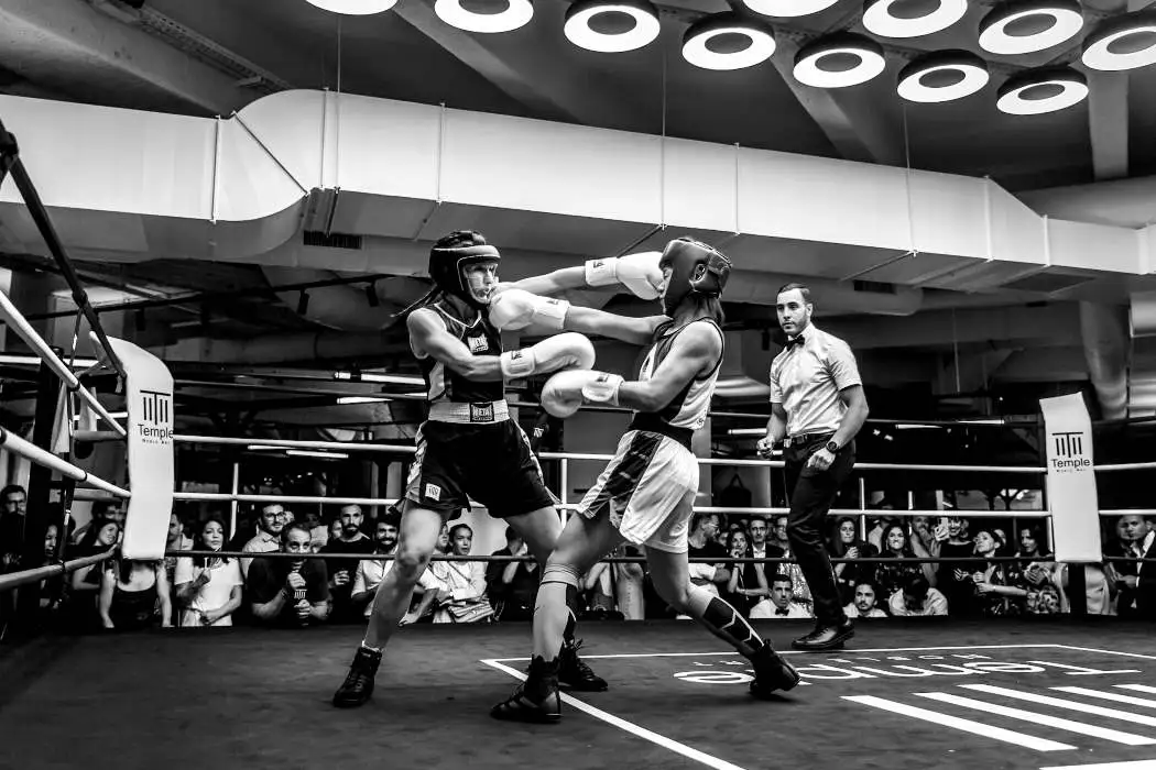règles combat boxe anglaise ring