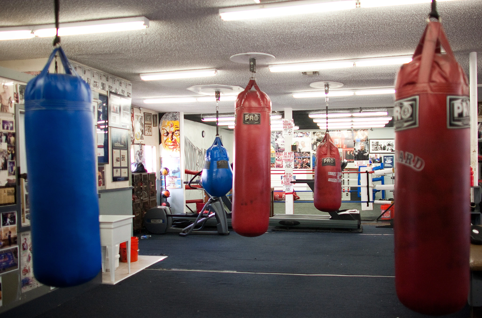 Ambiance estivale dans un club de boxe réputé à l’étranger.