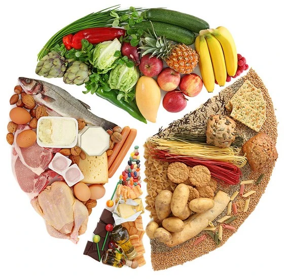 Assiettes avec différents aliments qui contribuent à un bon entrainement en boxe à Paris