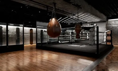 salle de sport de luxe Temple Noble Art à Paris