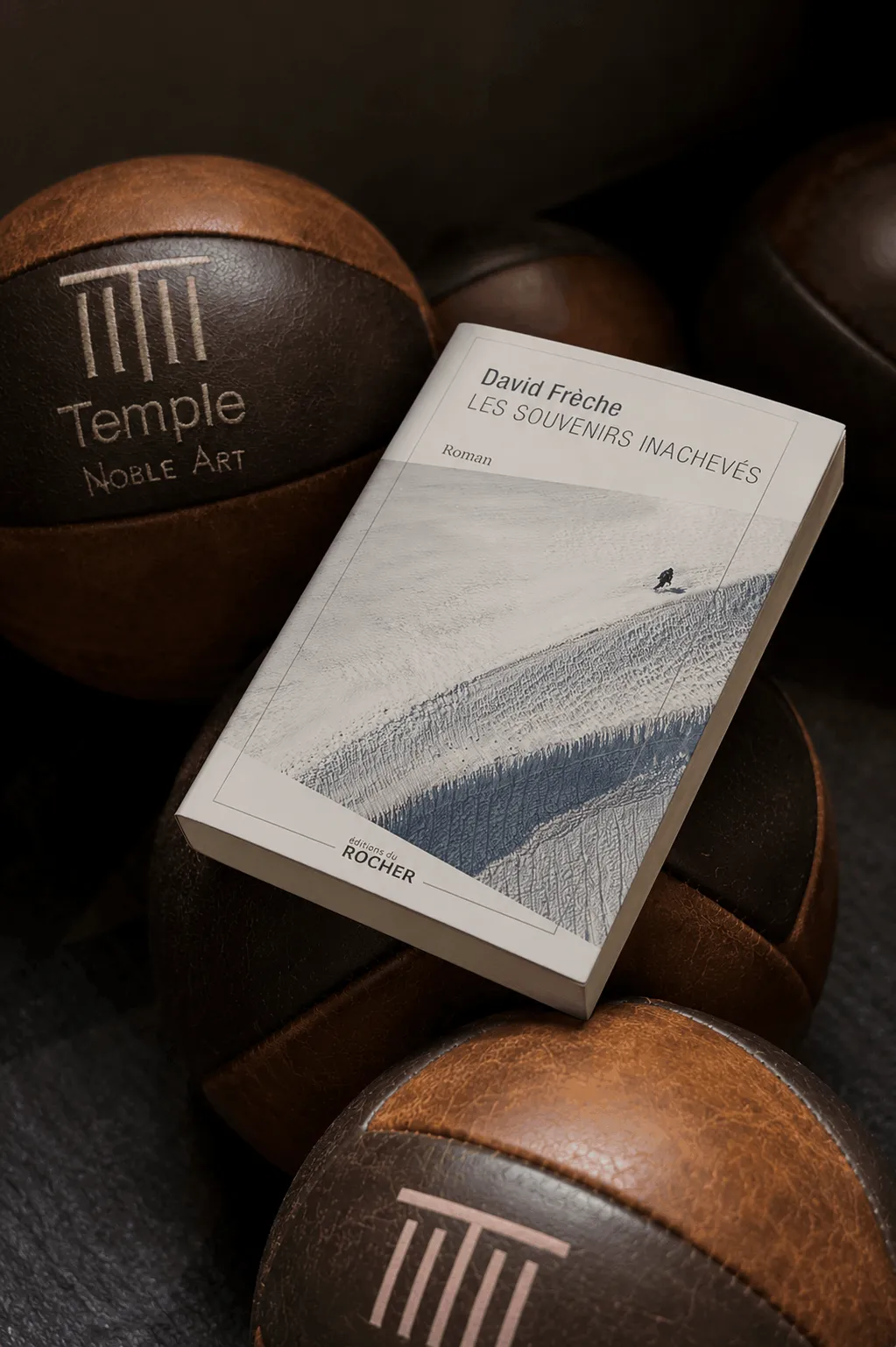 reco lecture été boxe paris Temple david frèche