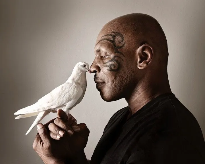 mike tyson passionné par les pigeons avant la boxe